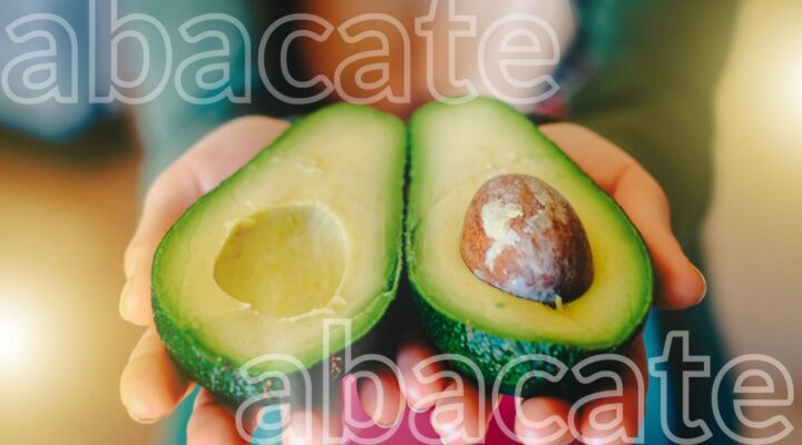 MITOS E BENEFÍCIOS DO ABACATE NA DIETA